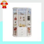 Vitrine de Collection