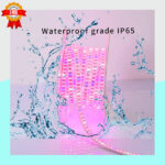 Bande LED Horticole – Image 3