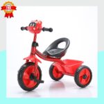 Tricycle Enfant